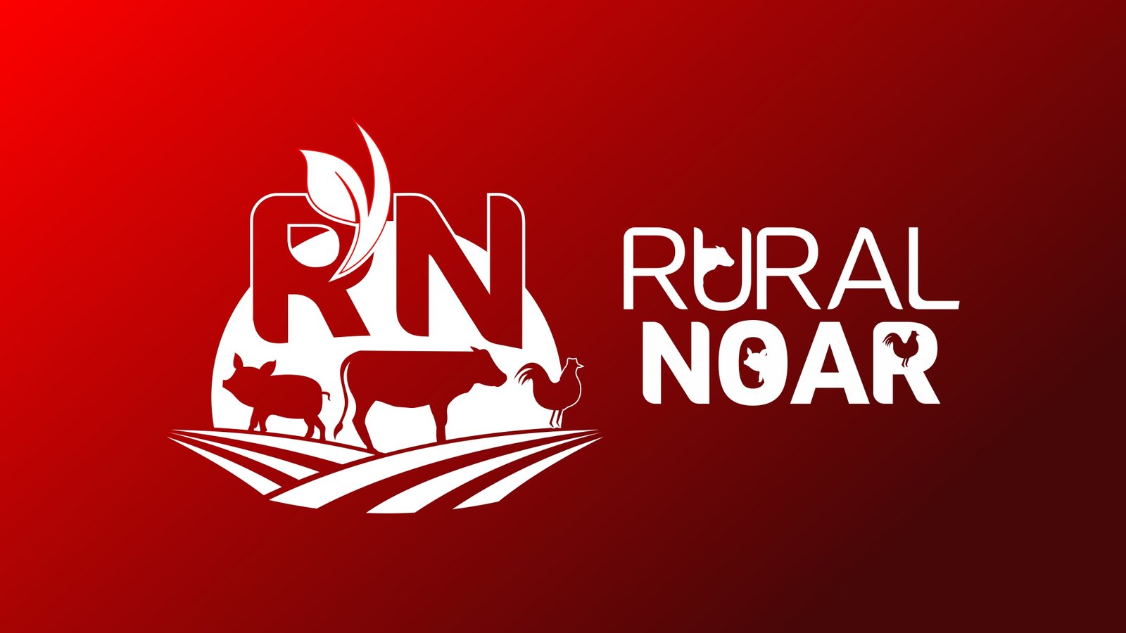 RURAL NOAR - CANAL 164